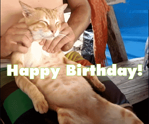 Funny Birthday Wishes For Friend - Happy Birthday Wishes, Memes, SMS & Greeting eCard Images